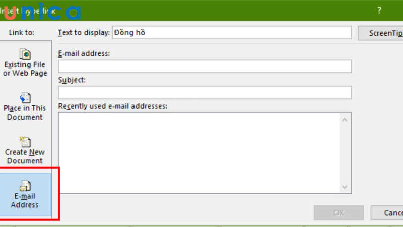 Chọn mục E-mail address để thêm email