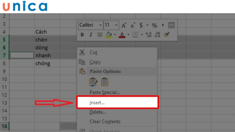 Nhấp chuột phải chọn Insert