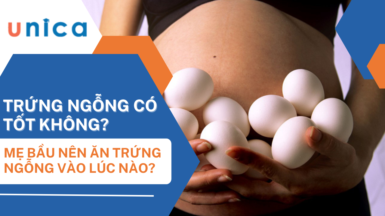 Bà bầu ăn trứng ngỗng thời điểm nào để tốt thai cho thai nhi?