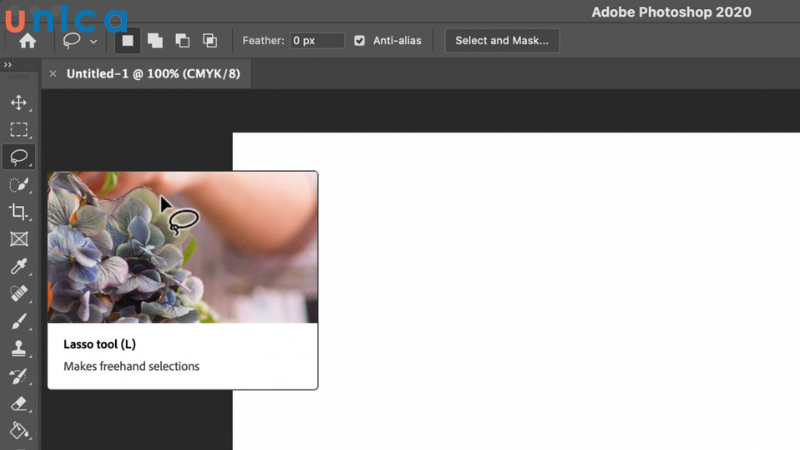 Sử dụng công cụ Lasso Tool để cắt ảnh