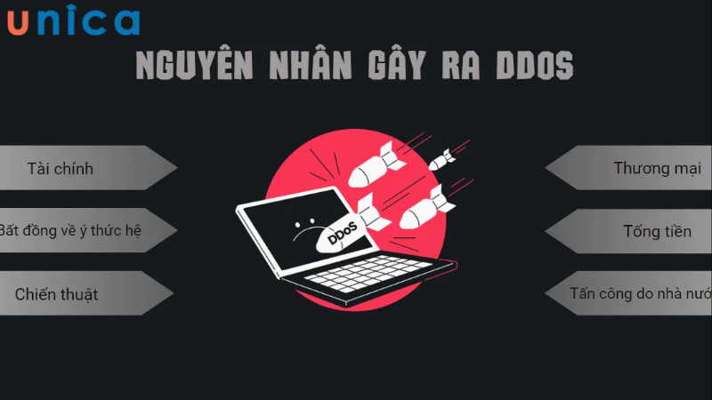 Nguyên nhân dẫn đến cuộc tấn công DDoS