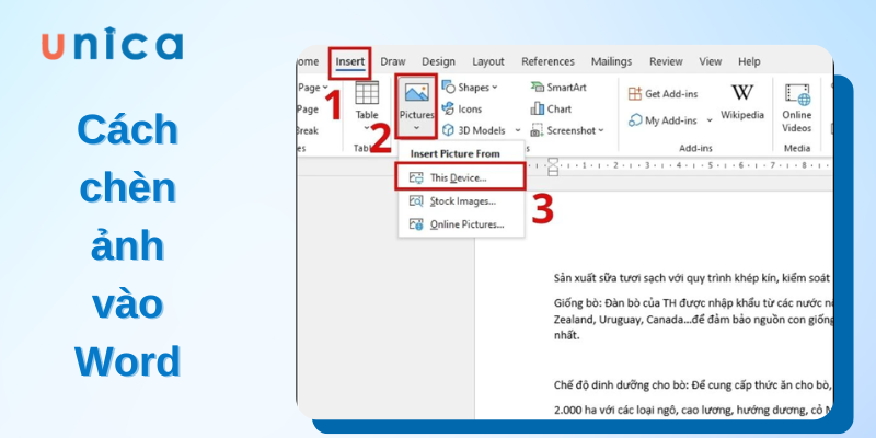Cách chèn ảnh vào word nhanh chóng