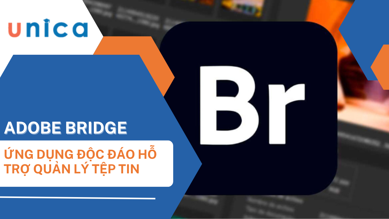 Adobe Bridge là gì? Các tính năng nổi bật của Adobe Bridge