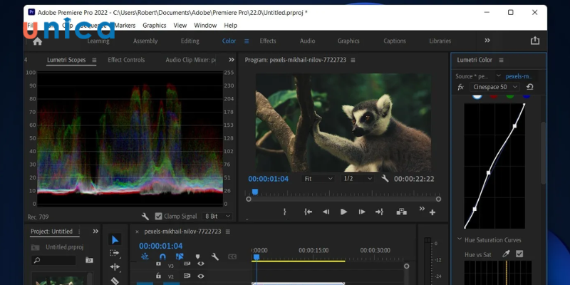 Adobe Premiere là công cụ có khả năng xử lý mạnh mẽ