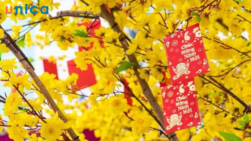 Sử dụng bao lì xì để biểu tượng cho sự gắn bó, vui mừng