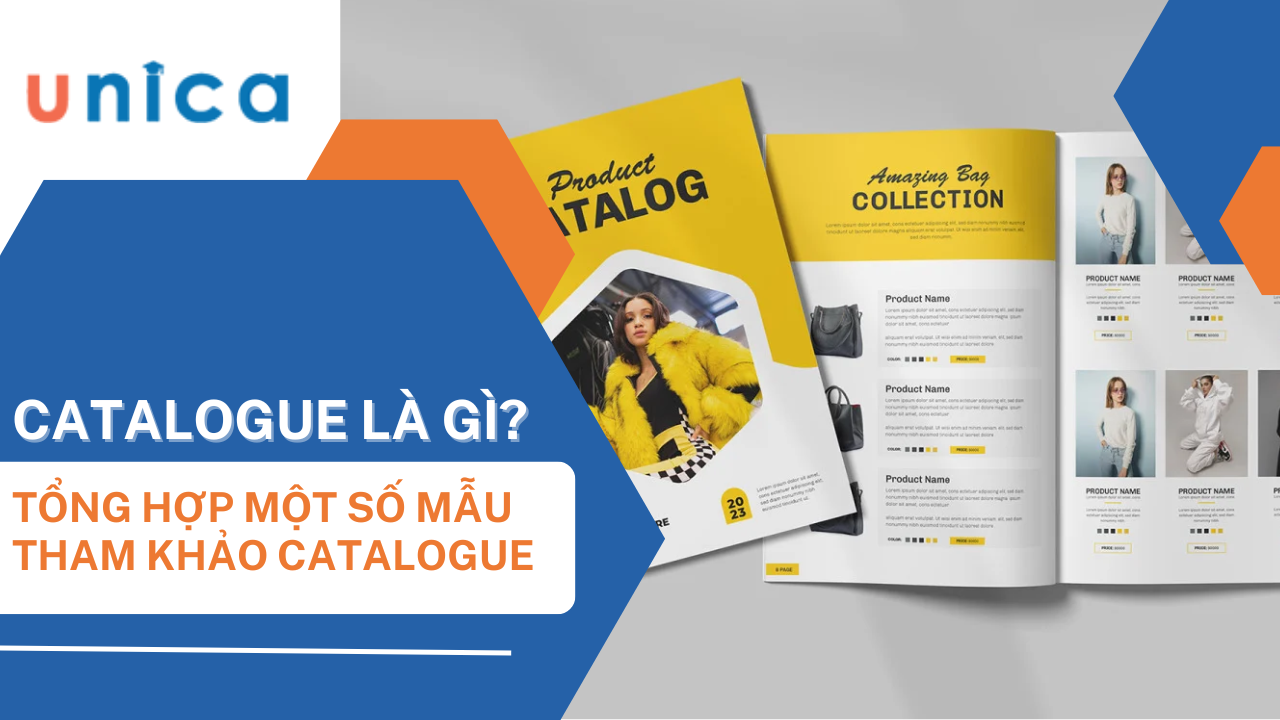 Catalogue là gì? Tất tần tật thông tin về công cụ Catalogue