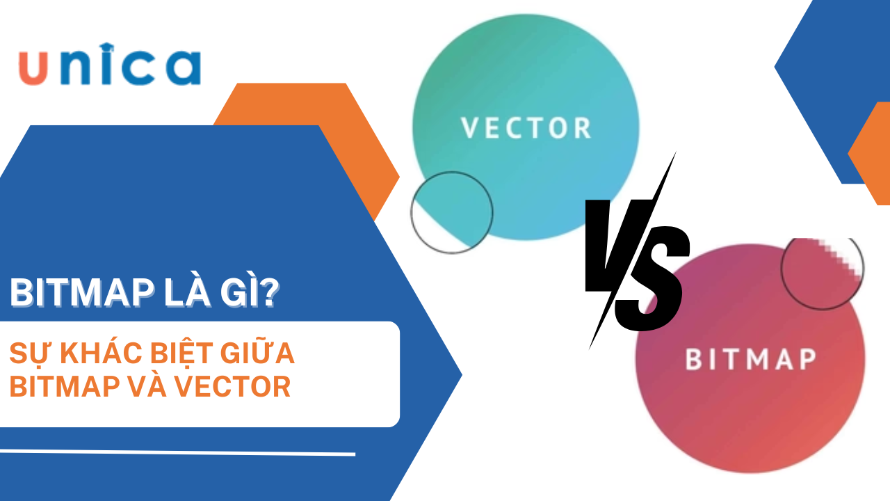 Bitmap là gì? Sự khác biệt giữa Bitmap và Vector