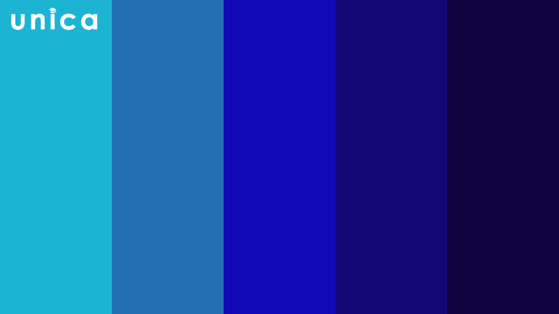 Màu lạnh bao gồm những gam màu như xanh dương, xanh lá cây, tím,.. tạo cảm giác dễ chịu cho người nhìn