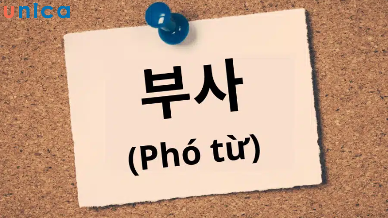 Phó từ trong tiếng Hàn thường đứng trước động từ, tính từ để bổ sung ý nghĩa cho câu