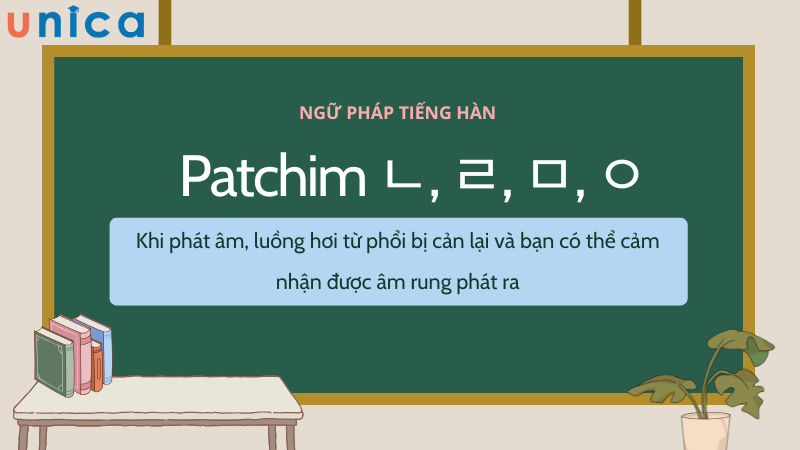 Đặc điểm chung của nhóm Patchim này là tạo ra âm rung