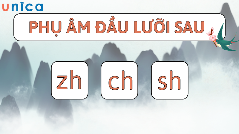 Phụ âm đầu lưỡi sau có phần na ná tiếng việt