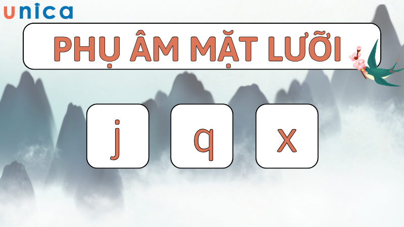 đọc phụ âm mặt lưỡi bằng cách áp nhẹ vào ngạc cứng rồi tách ra để phát âm