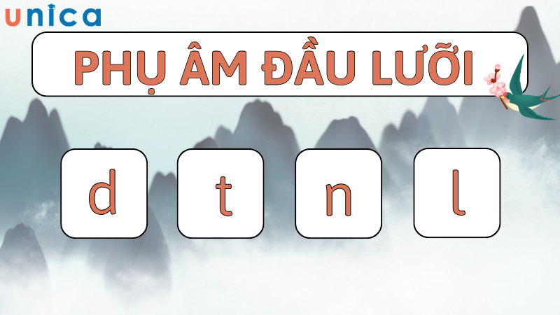 Nhóm phụ âm đầu lưỡi bao gồm d, t, n, l và cách đọc