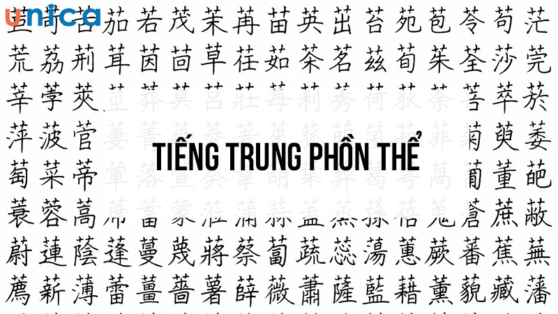 Nếu bạn đam mê nghiên cứu về Hán Nôm, văn hóa lịch sử Trung Quốc hay du học Đài Loan,.. thì nên chọn học chữ Phồn thể