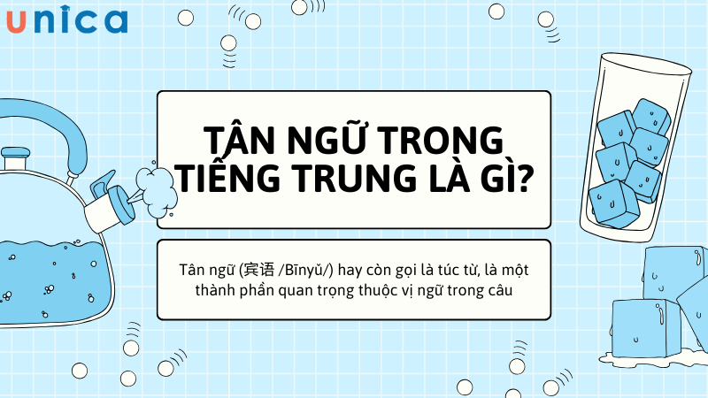 Tân ngữ trong tiếng Trung đóng vai trò bổ sung ý nghĩa cho động từ, bị giới từ chi phối để câu trở nên hoàn chỉnh hơn