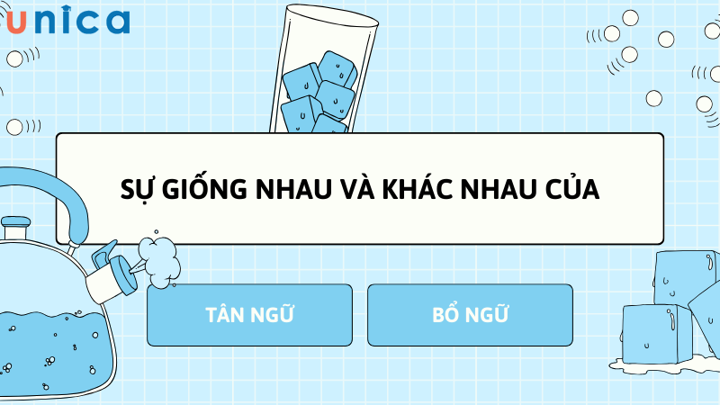 Trong quá trình học, nhiều người thường nhầm lẫn giữa tân ngữ và bổ ngữ