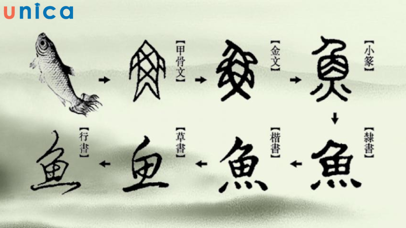 Có tới 80% chữ tiếng Hán được là chữ hình thanh, giúp nhanh chóng gợi nhớ hình ảnh