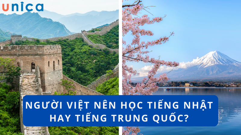 Việc lựa chọn học ngôn ngữ nào còn phải phụ thuộc vào nhiều yếu tố khác nhau