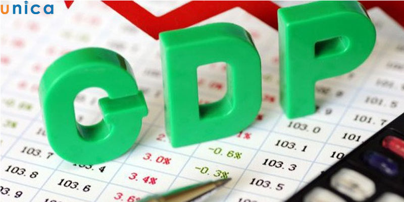 SME đóng góp một phần không hề nhỏ vào quá trình phát triển GDP quốc gia