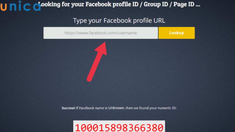 Dán đường link vào ô tìm kiếm UID