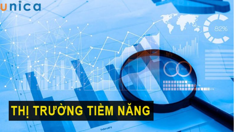 Thị trường tiềm năng là gì?