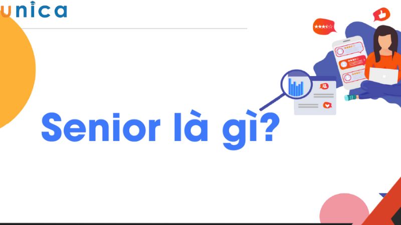 Senior là gì?