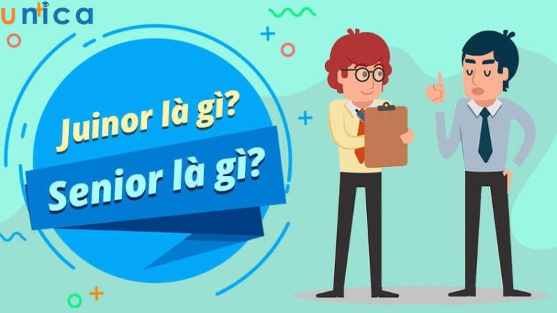 Phân biệt Senior và Junior