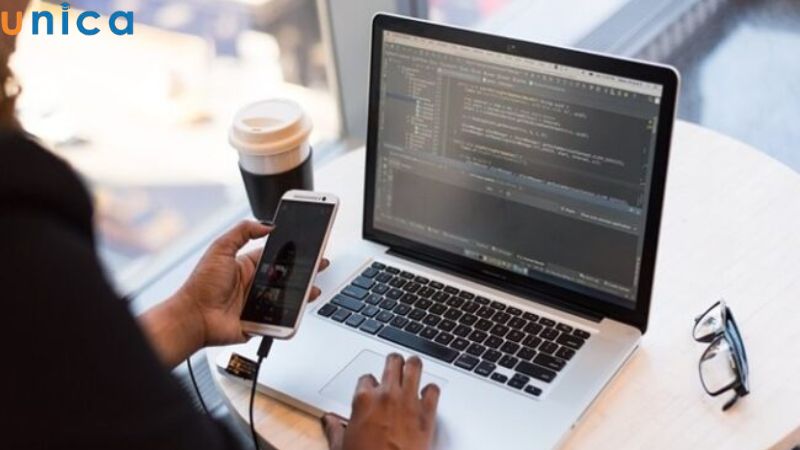 Công việc của Fresher theo một số ngành phổ biến