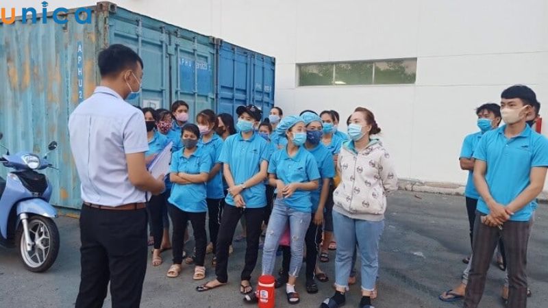 Hầu hết các nghề đều cần nhân viên thời vụ