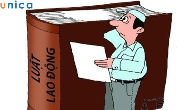 Quy định về quyền lợi của người lao động thời vụ