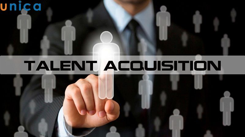 Talent Acquisition là gì?