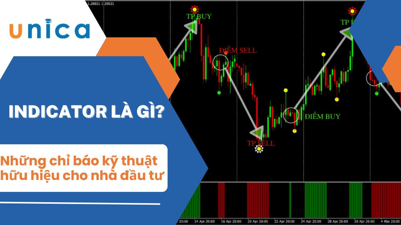 Indicator là gì? Những chỉ báo kỹ thuật hữu hiệu cho nhà đầu tư