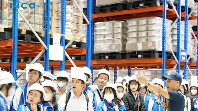 Cơ hội nghề nghiệp của ngành Logistics