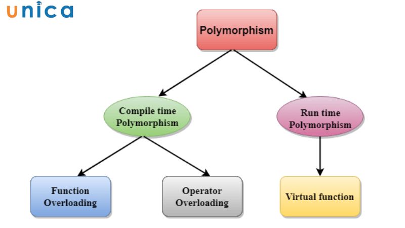 Tính đa hình - đặc điểm của lập trình hướng đối tượng