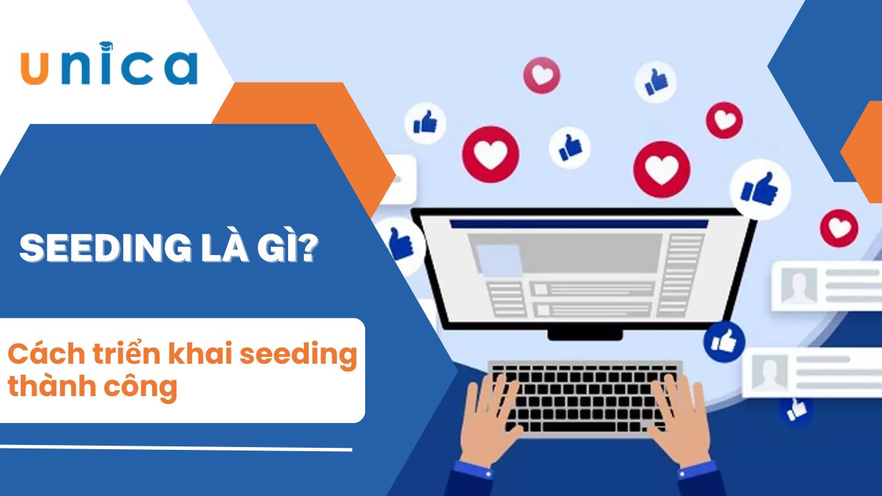 Seeding là gì? Cách triển khai seeding thành công