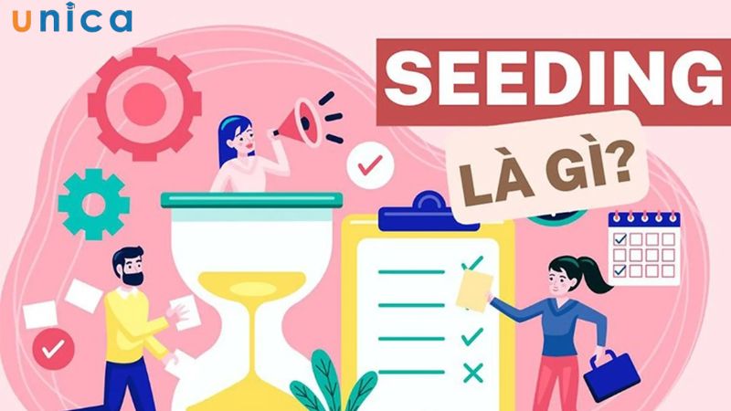 Seeding là gì?