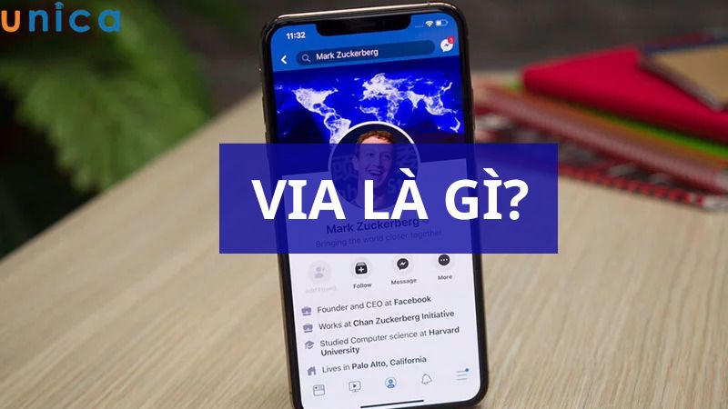 Via là gì?