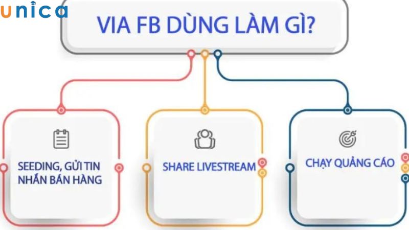 Via được sử dụng trong nhiều mục đích khác nhau