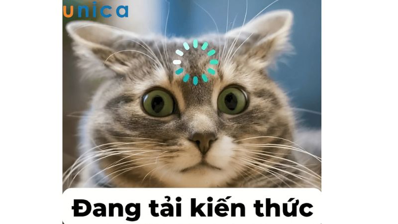 Meme dạng ảnh GIF