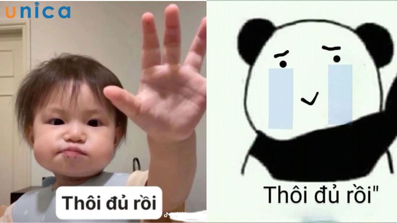 Meme thôi đủ rồi trên nền hình ảnh em bé Pam