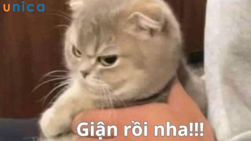 Meme biểu cảm đáng yêu