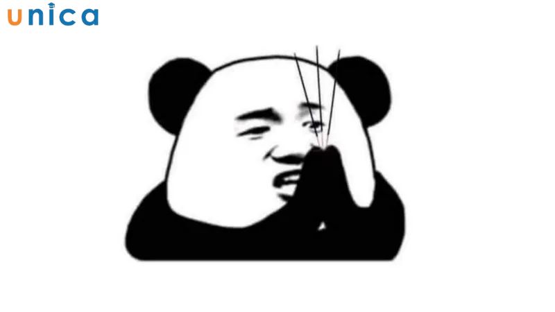 Meme gấu trúc dùng khi troll ai đó