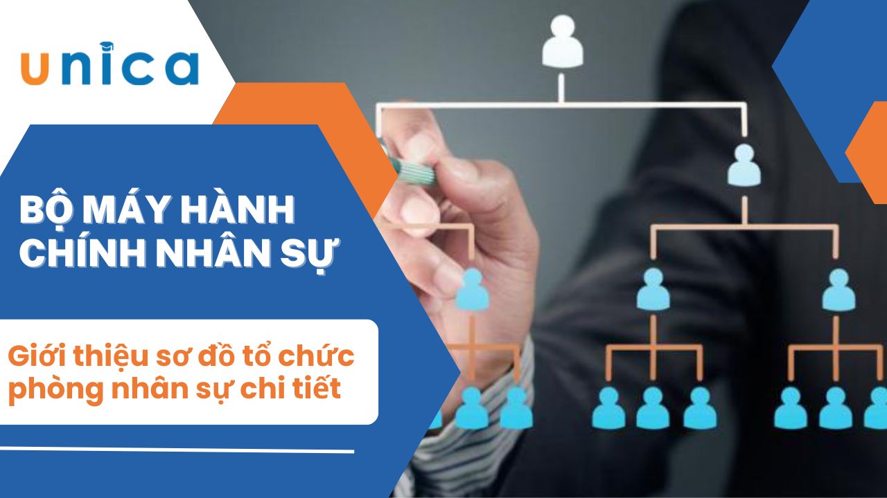 Giới thiệu về sơ đồ tổ chức phòng nhân sự chi tiết từ A đến Z