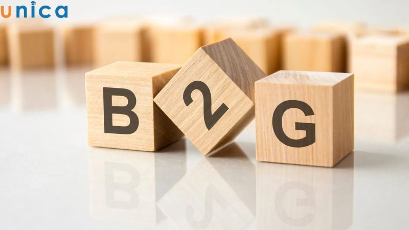 Cách thức hoạt động của mô hình B2G