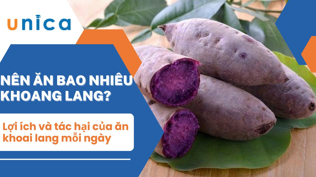 Nên ăn bao nhiêu khoai lang mỗi ngày? Lợi ích và tác hại