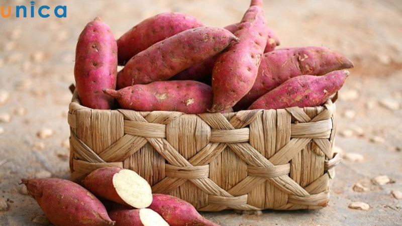 Khoai lang giúp tăng khả năng hấp thu nước, cải thiện nhu động ruột