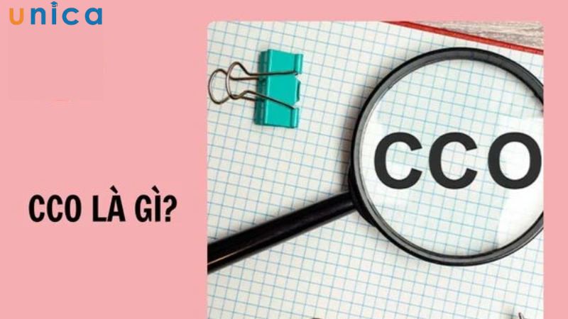 CCO là gì?