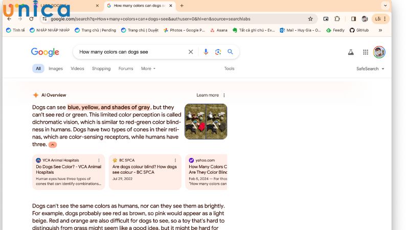 Cập nhật nội dung thường xuyên để tối ưu bài viết giúp xuất hiện trong AI Overviews