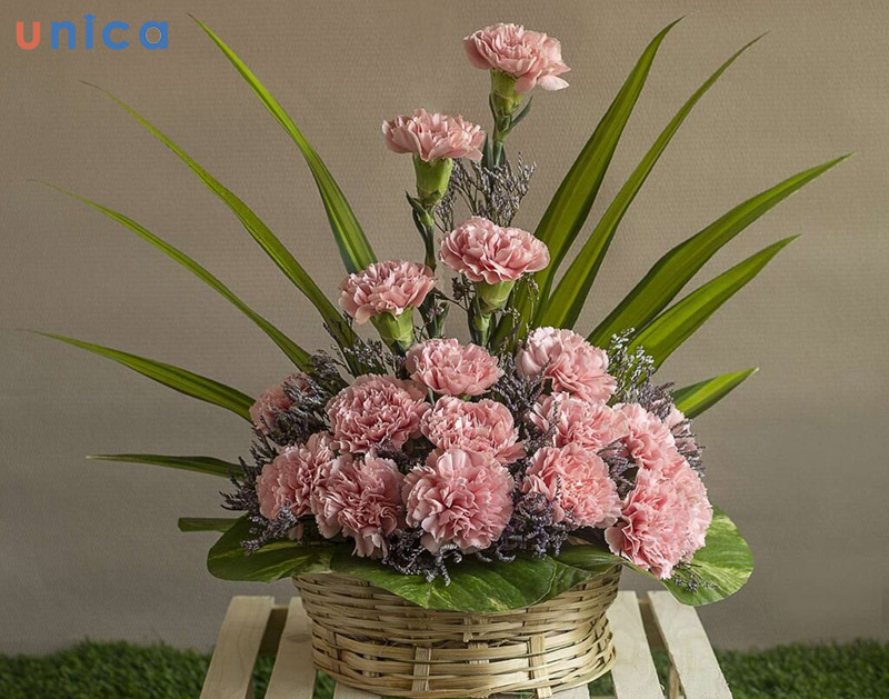 cắm hoa cẩm chướng bằng xốp 