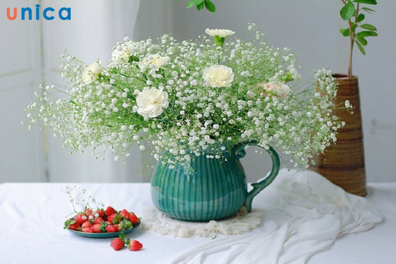 cách cắm hoa cẩm chướng